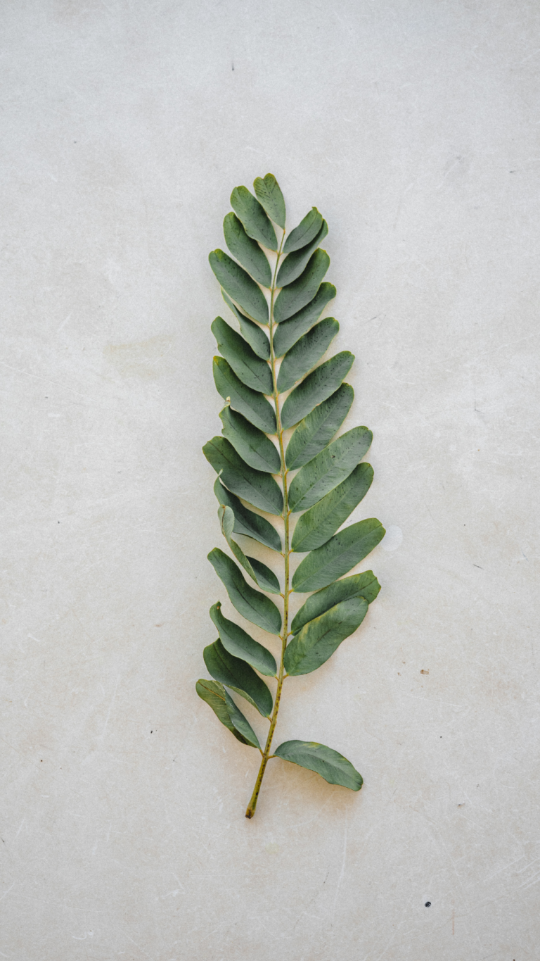 about the good life nutrition