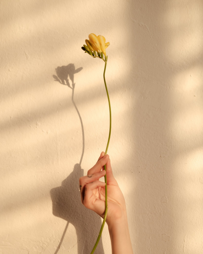 Holistic coaching Nila Conzen